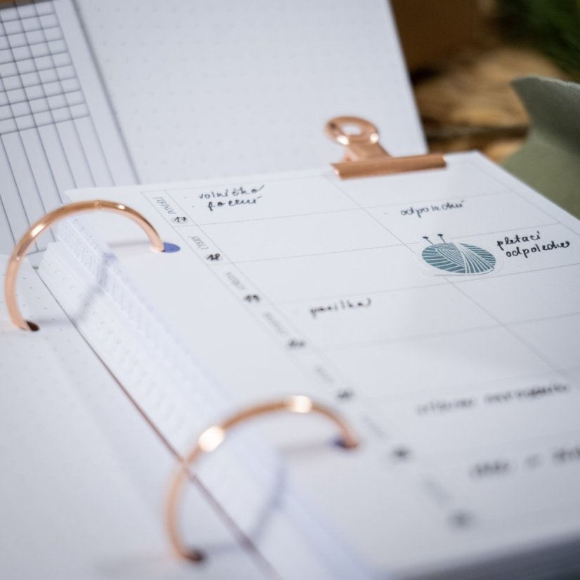 Eukalyptový nedatovaný diář A6