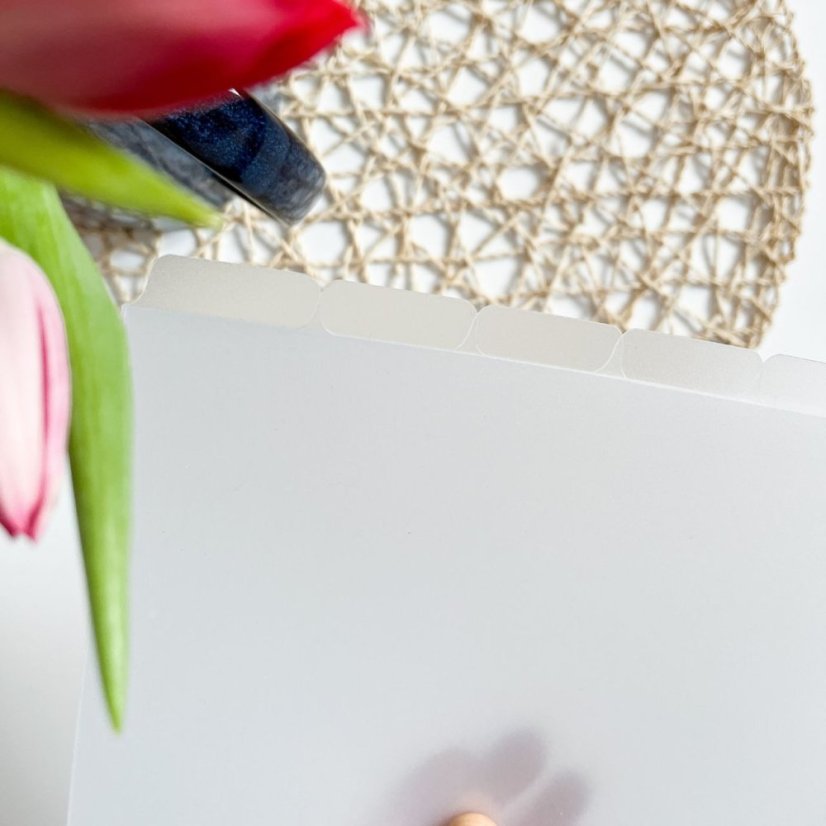 Plastové frosted rozdělovače s bočním štítkem - Formát: Formát A5