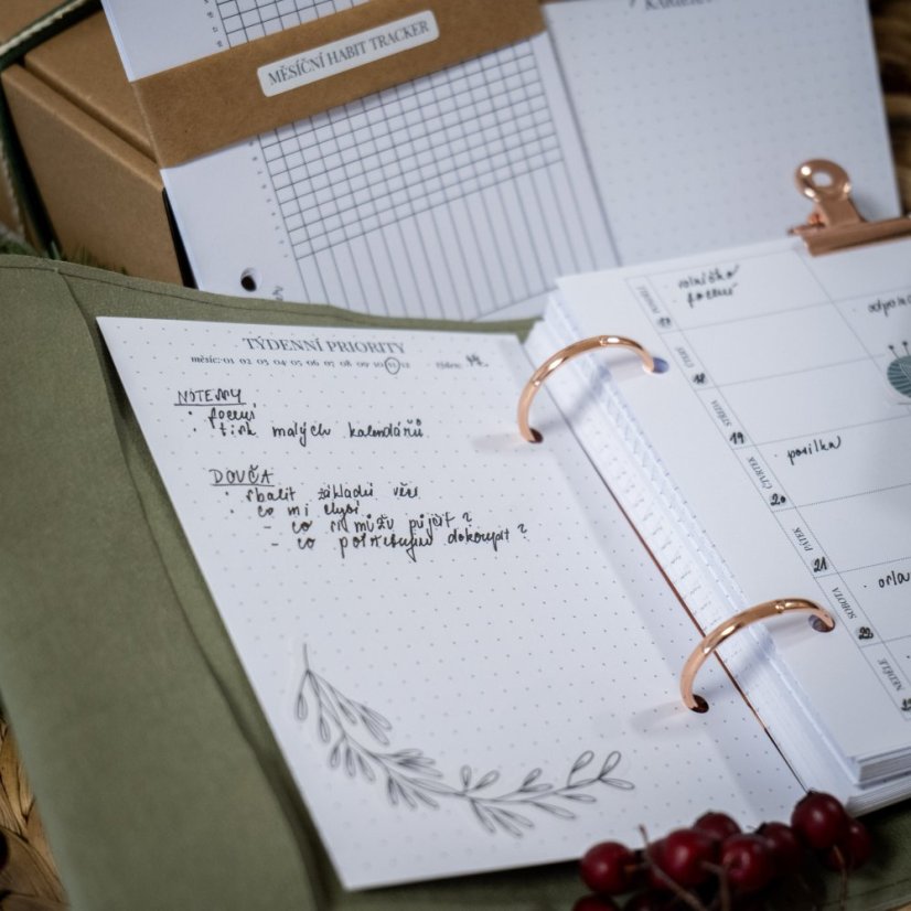 Eukalyptový nedatovaný diář A6