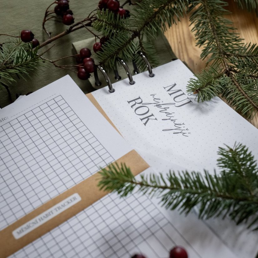 Eukalyptový nedatovaný diář A5