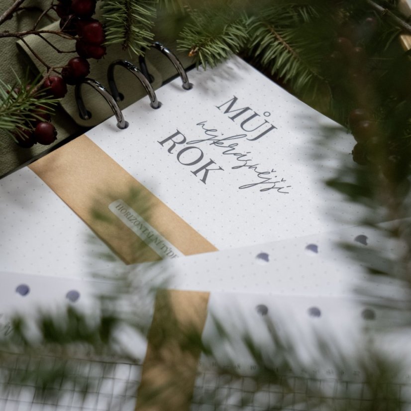 Eukalyptový nedatovaný diář A5